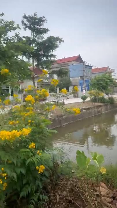 Đất nền xã Yên Từ, huyện Yên Mô, Ninh Bình 226m² – Sổ đỏ chính chủ, giá thương lượng