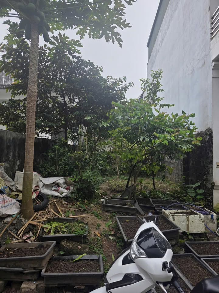 Đất nền Lý Thường Kiệt, Ninh Bình 80m² giá 2 tỷ - Đầu tư sinh lời cao!