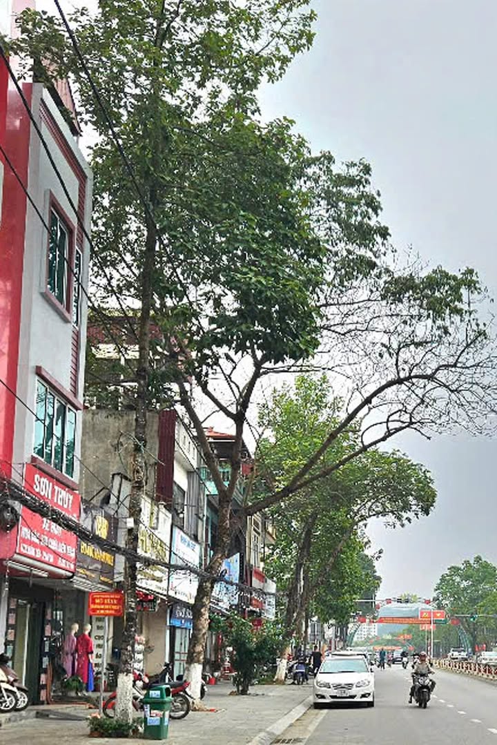 Nhà phố Hoàng Liên, Bắc Từ Liêm, 90m² giá 6.75 tỷ - Kinh doanh nhộn nhịp!