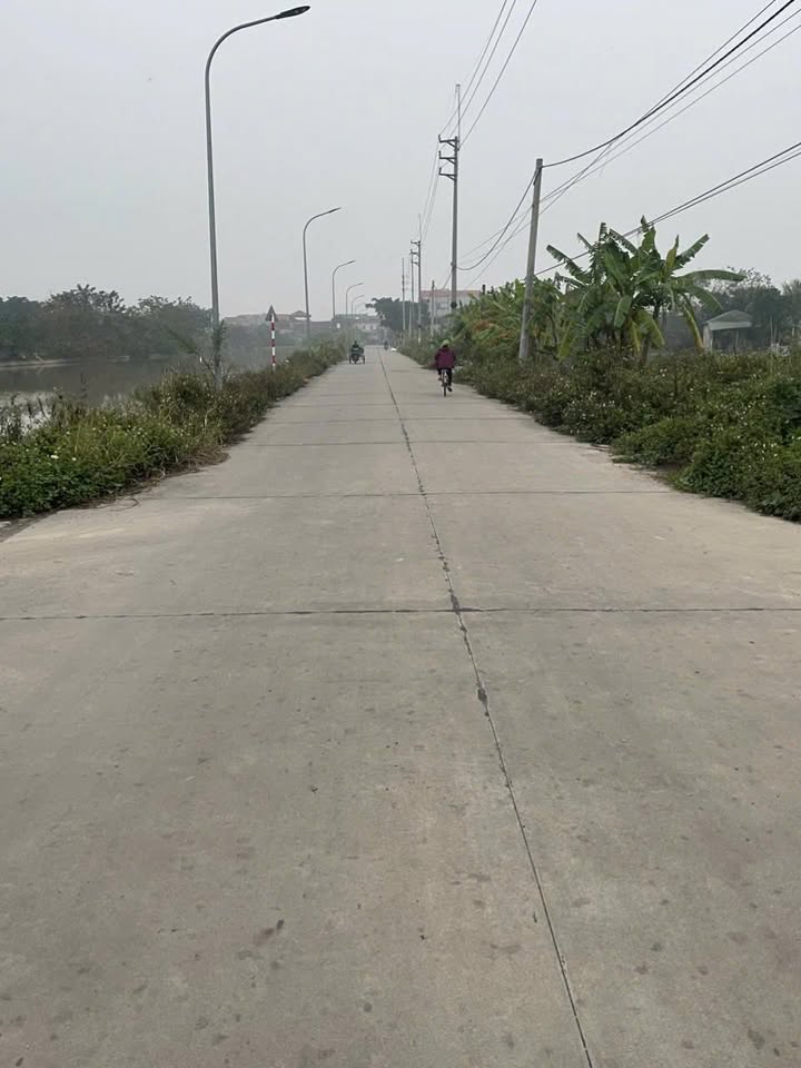 Đất mặt đường 12m khu Đồng Cả, Tân Dân, 141m² - Vị trí đắc địa, giá tốt!