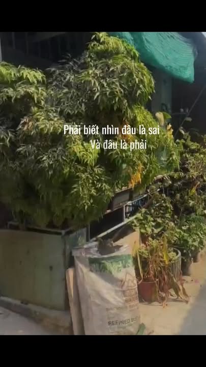 Nhà riêng Tân Phú Trung, Huyện Củ Chi, 85m² giá 1.55 tỷ - Sổ hồng riêng chính chủ!