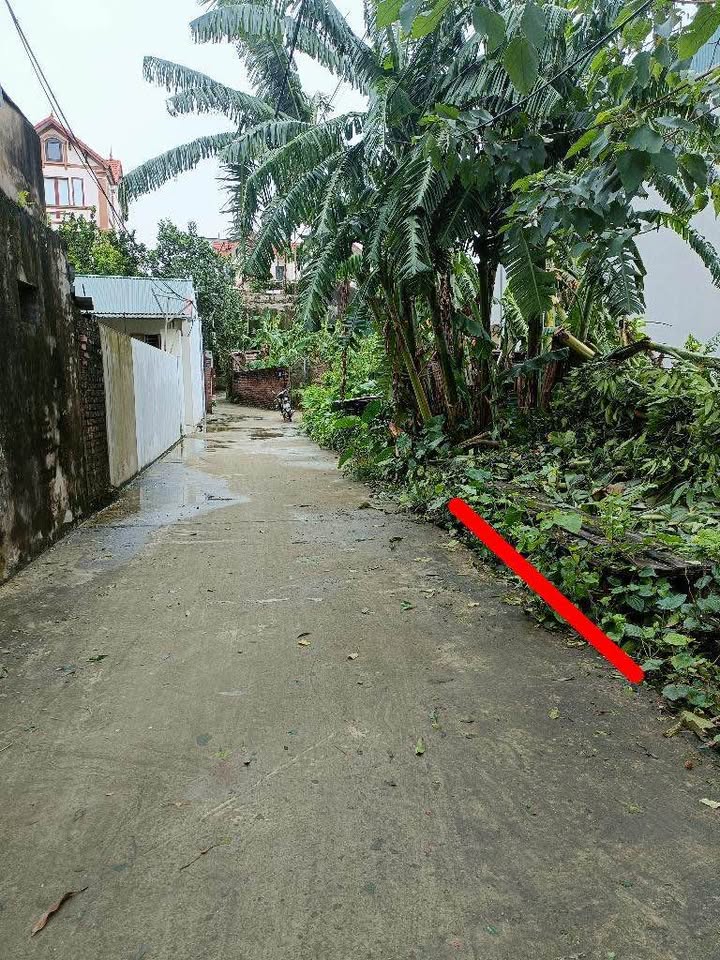 Đất Kim Sơn Huyện Gia Lâm 57m² giá 3 tỷ - Đầu tư sinh lời ngay!