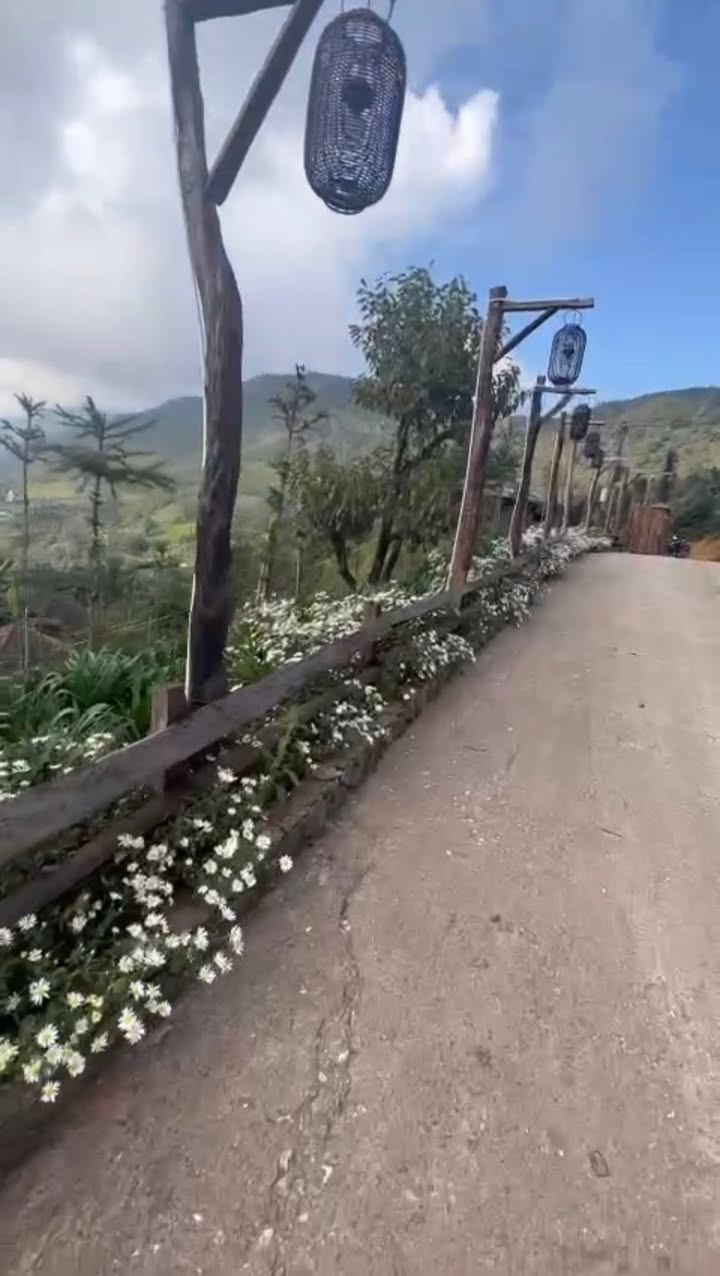 Farm đất Bản Khoang, Sa Pa 1000m² giá 2 tỷ - Cơ hội đầu tư hấp dẫn!