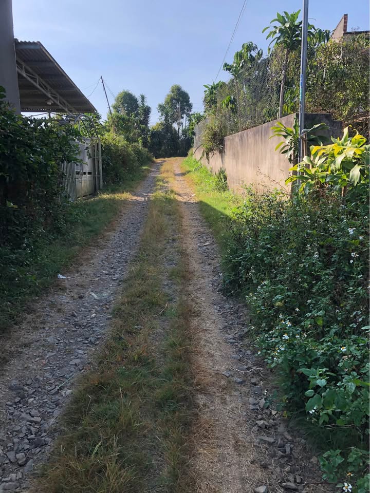 Đất nền đẹp tại Phong Nẫm, Phan Thiết 2160m² giá chỉ 8 tỷ - Cơ hội đầu tư hấp dẫn!