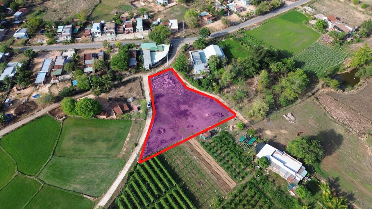 Đất nền xã Thuận Minh, Hàm Thuận Bắc 1783m² giá 980 triệu - Cơ hội đầu tư hiếm có!