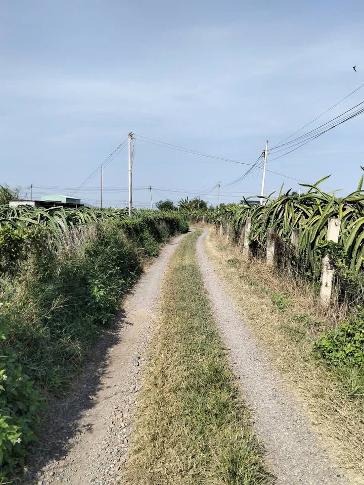 Đất thổ cư 500m² tại Khu phố Xuân Điền, Phan Thiết - Giá chỉ 2.1 tỷ