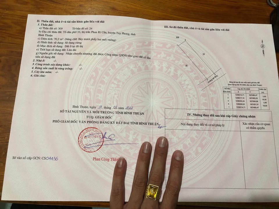 Đất thổ cư Phạm Ngọc Thạch, 82m² giá 550 triệu - Sổ đỏ chính chủ nhanh gọn!