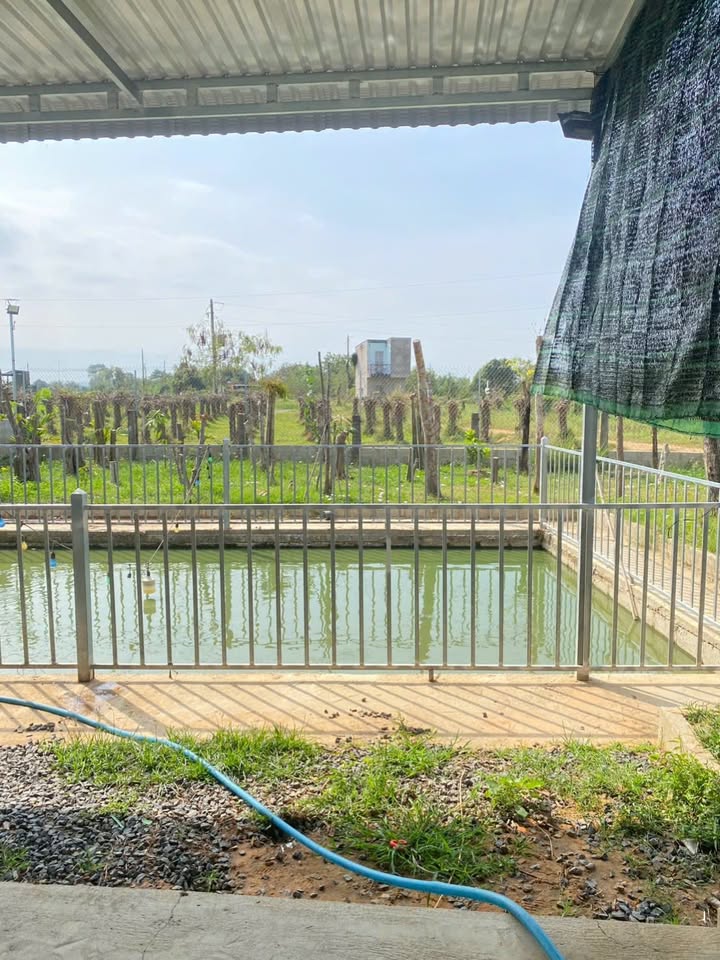 Nhà vườn 370m² tại Xã Thuận Quí, Huyện Hàm Thuận Nam giá 1.1 tỷ - Đường ô tô vào tận nơi!