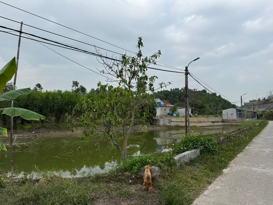 Đất mặt hồ Khu Trới 9, Hạ Long 1465m² giá 5 tỷ - Cơ hội đầu tư hấp dẫn!