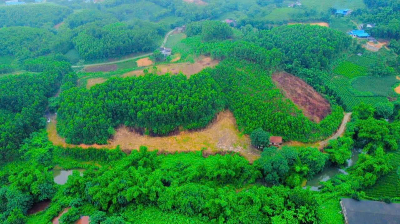 Đất Nền Trang Trại Thị Trấn Sông Cầu 6000m² - Pháp Lý Rõ Ràng, Giá Tốt!