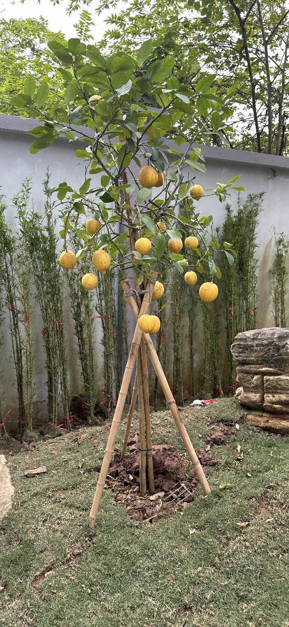 Đất nền xã Cộng Hòa, huyện Vụ Bản, 100m² - Giá thỏa thuận hấp dẫn!