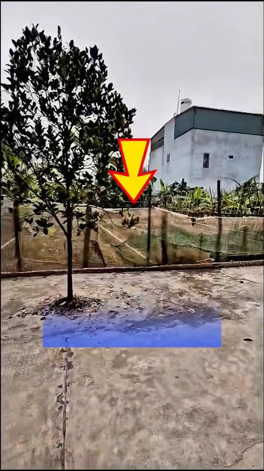 Đất dịch vụ Lại Yên 61m² giá thỏa thuận - Tiềm năng tăng giá cao!