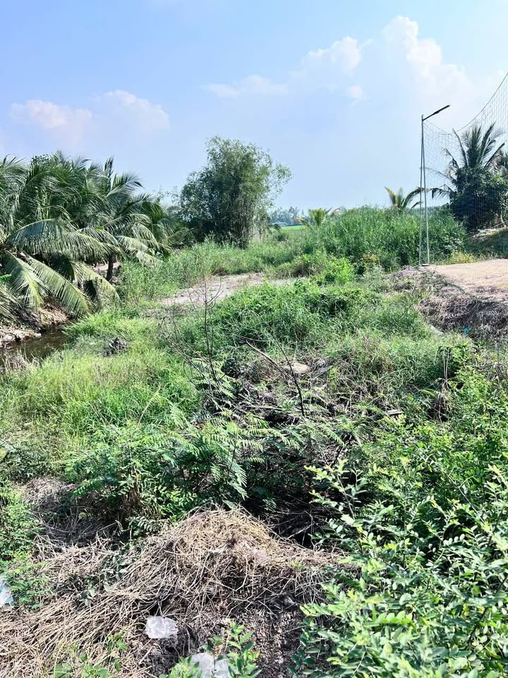 Đất mặt tiền Quốc lộ 62, Thị xã Cai Lậy, 600m² - Cơ hội đầu tư tuyệt vời!