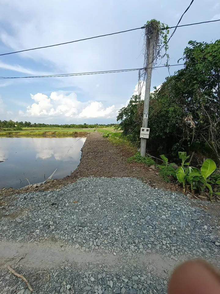 Đất vườn 4800m² tại Xã Tân Phú, Đồng Tháp giá chỉ 480 triệu - Cơ hội đầu tư hấp dẫn!