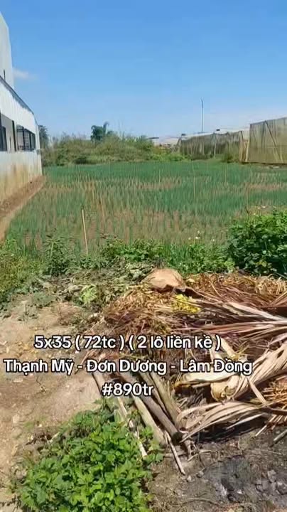 Lô đất Thạnh Mỹ Đơn Dương 199m² giá 890 triệu - Cơ hội đầu tư hấp dẫn!