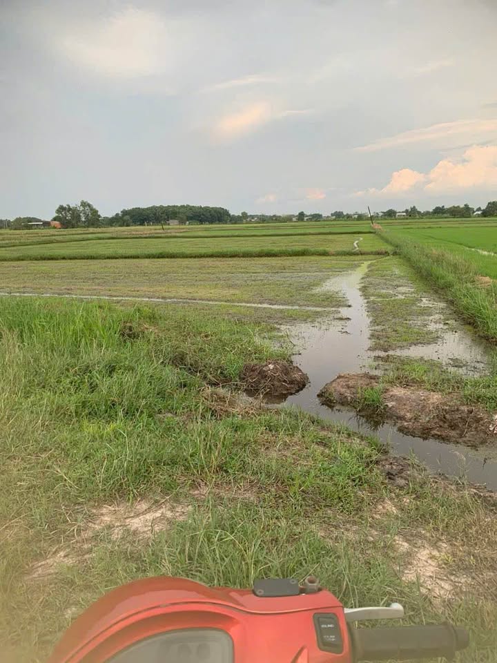 Đất nông nghiệp 2300m² xã Đức Hòa Thượng, Long An - Giá chỉ 2,5 tỷ, thương lượng ngay!