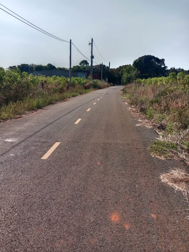 Đất Bưng Riềng, Xuyên Mộc 400m² - Sổ Hồng riêng, Giá chỉ 1.42 tỷ, Gần trường học!