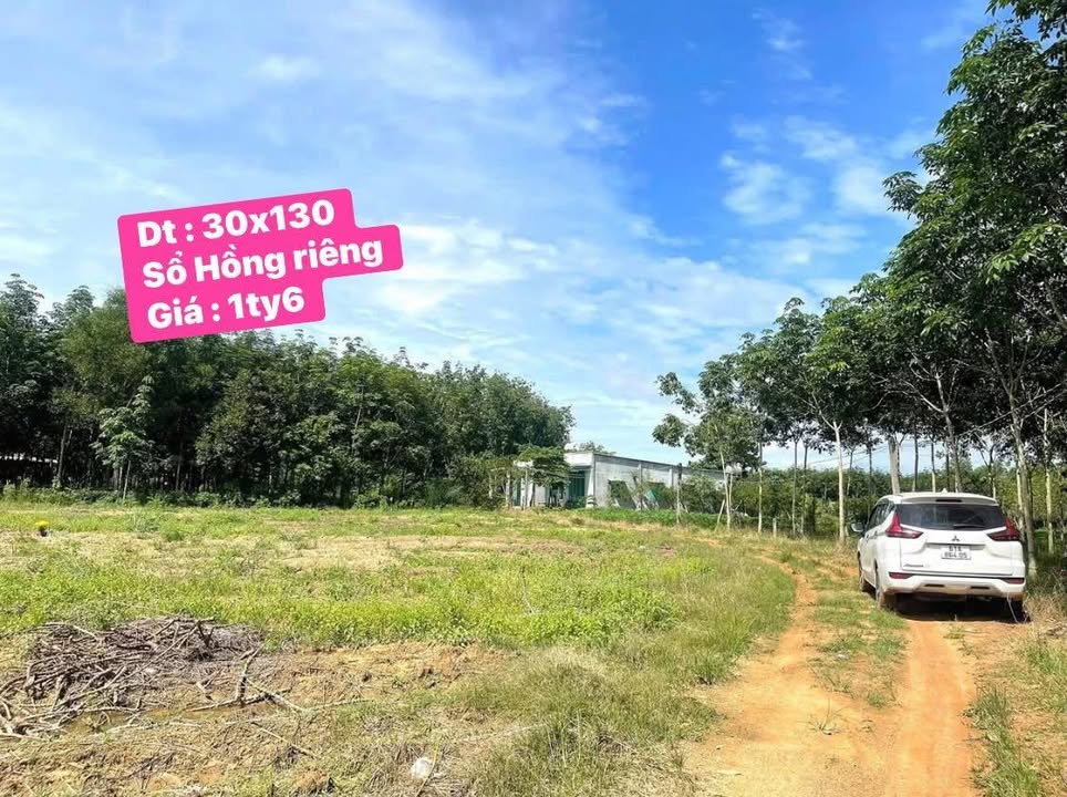 Đất nền xã Minh Hòa, 3900m² giá 1.6 tỷ - Cơ hội đầu tư tuyệt vời!