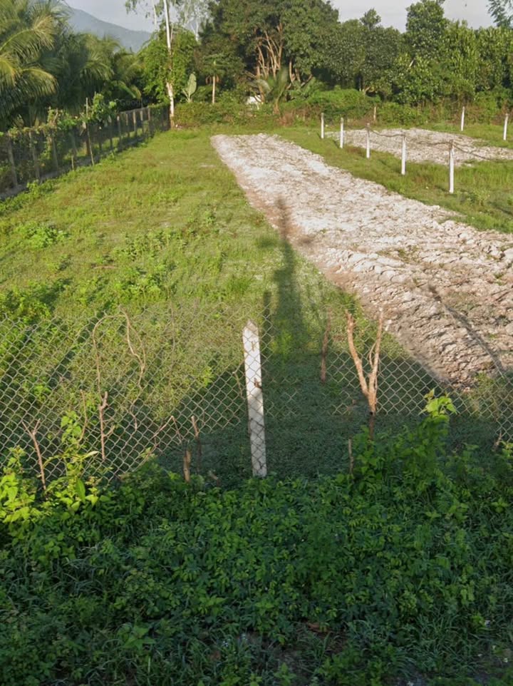 Lô đất thổ cư 609m² tại Thôn Gò Mè, Suối Tiên chỉ 3 tỷ - Đầu tư tuyệt vời!