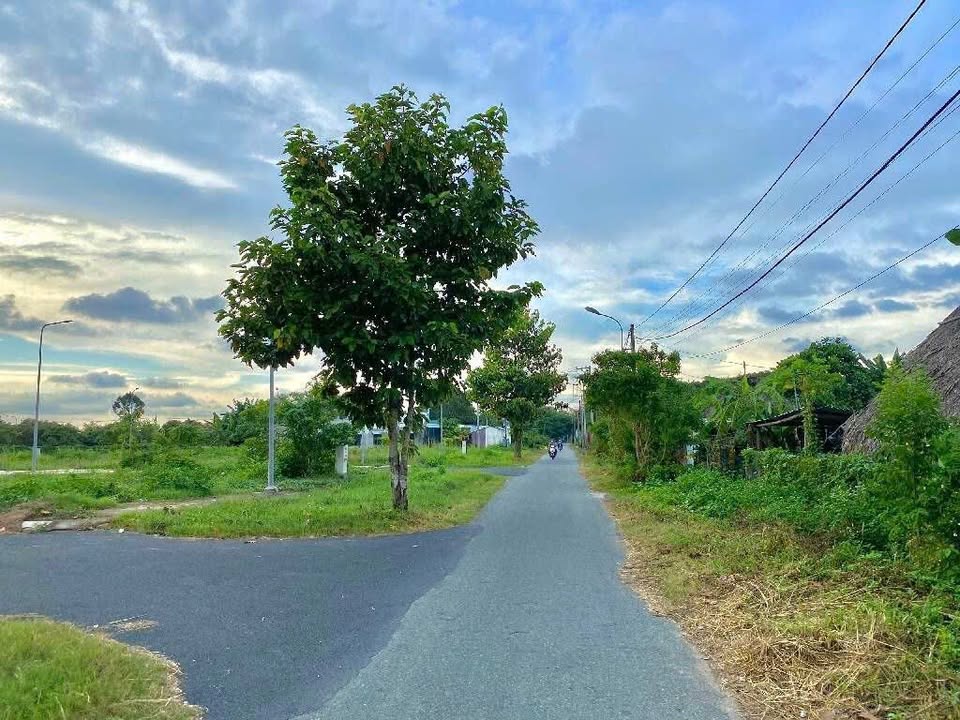 Đất nền Tân Thông Hội, Củ Chi 120m² giá 2.99 tỷ - Đầu tư sinh lời tốt!