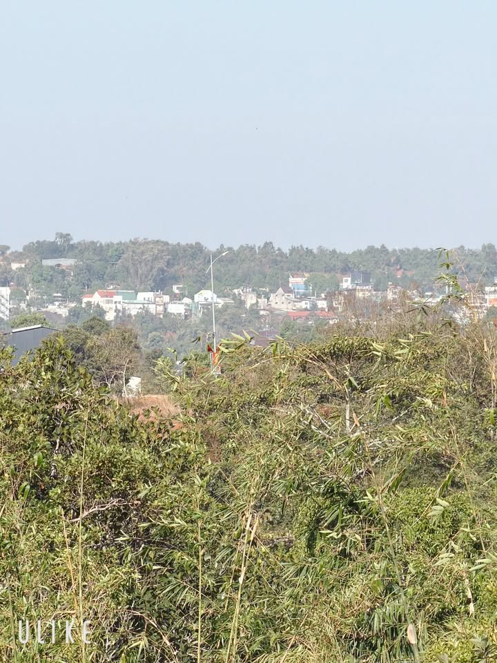 Đất nền 700m² Huyện Tuy Đức giá 1 tỷ - Đầu tư sinh lời ngay!