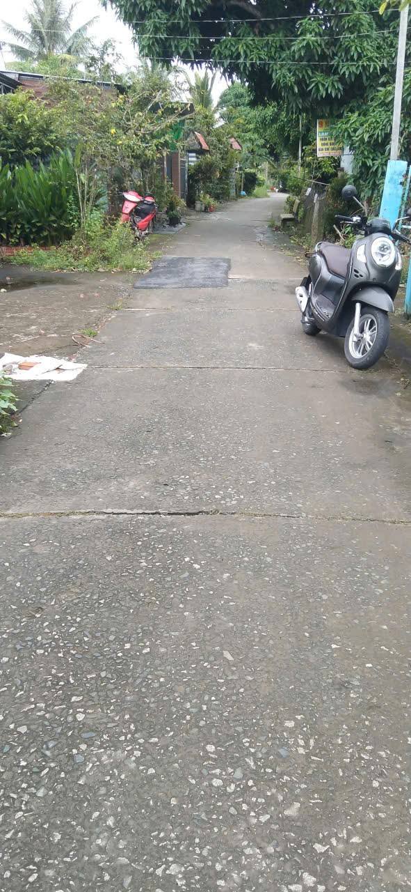 Đất nền ấp 1 xã Mỹ Tân, 106m² giá 700 triệu - Đầu tư sinh lời ngay!