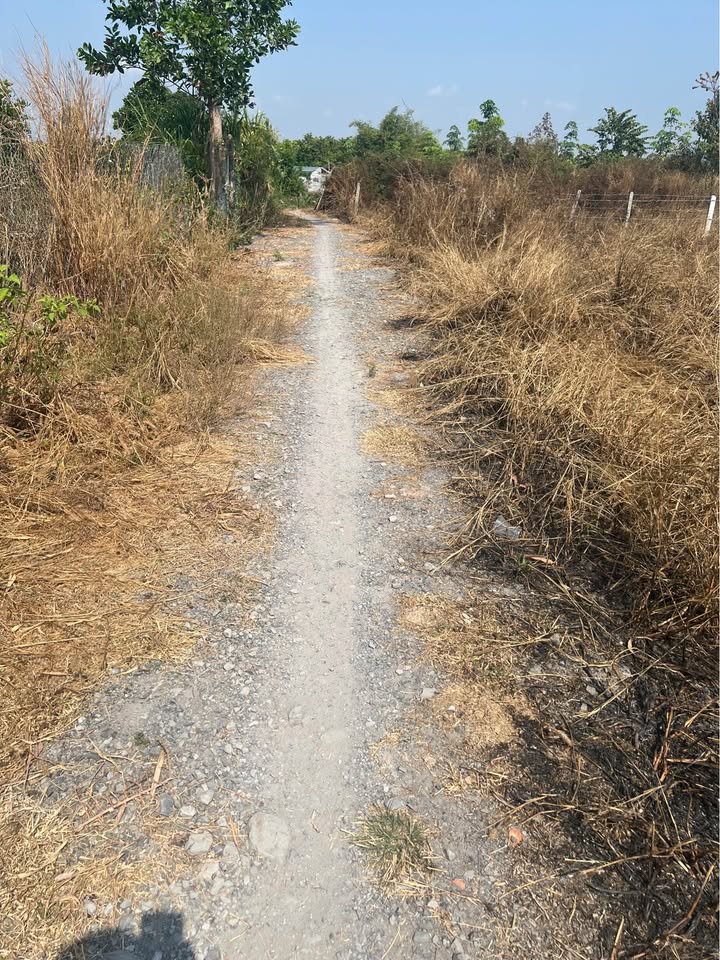 Đất nền Khu phố Ninh Phúc, Phường Ninh Thạnh 1120m² giá 450 triệu - Cơ hội đầu tư hấp dẫn!