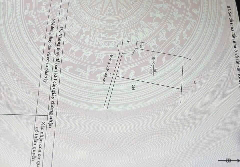 Đất lúa 1221m² tại Ấp 3 Thạnh Đức, Bến Lức, Long An - Giá chỉ 1.95 tỷ!