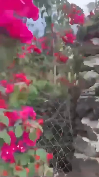 Farm tại Thôn 2, Tân Hoà, Buôn Đôn, 6200m² giá chỉ 1.999 tỷ - Cơ hội đầu tư tuyệt vời!