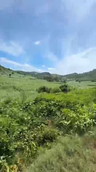 Đất farm 4.7ha tại Sơn Hà, giá chỉ từ 1.41 tỷ - Cơ hội đầu tư tiềm năng!