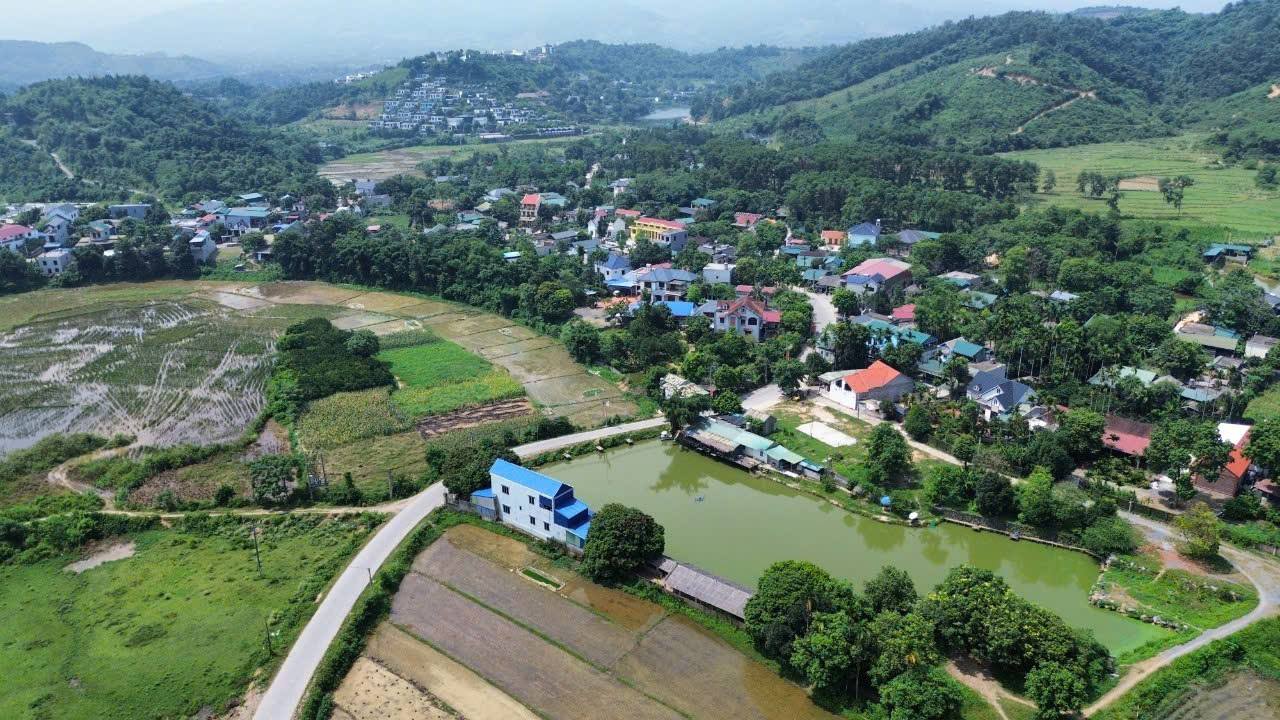 Đất nền 1300m² tại Tân Vinh, Lương Sơn - Lô góc bám mặt đường nhựa