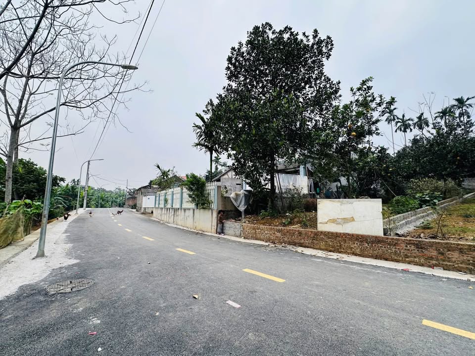 Đất nền Lương Sơn 135.6m² giá 2 tỷ - Pháp lý rõ ràng, cơ hội đầu tư hấp dẫn!