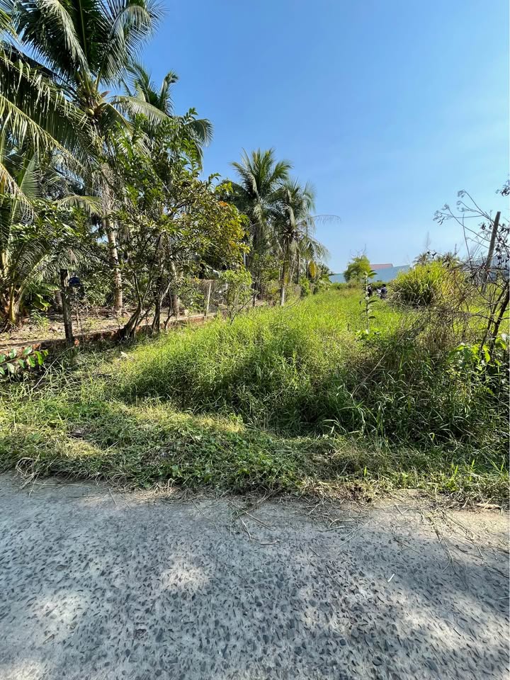 Đất thổ cư 123,2m² tại Phường Bến Tre - Giá chỉ 550 triệu, thương lượng nhẹ!