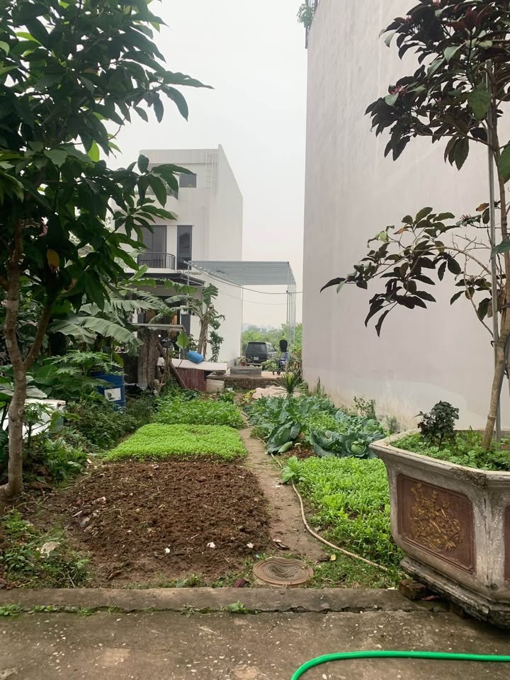 Nhà riêng Đa Tốn 60m² giá 4 tỷ - Ô tô đỗ cửa, thuận tiện kinh doanh!