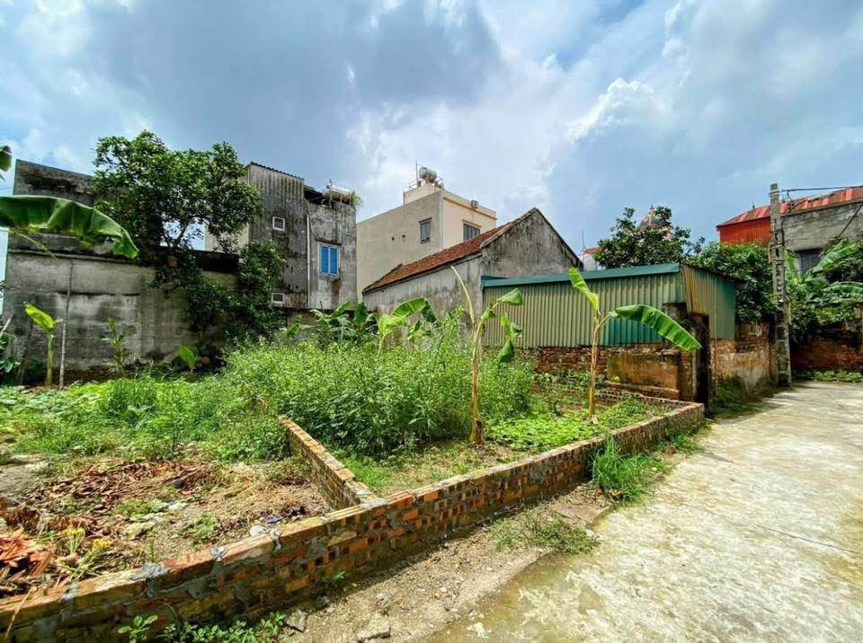 Đất nền Gia Lâm 50m² giá 3,2 tỷ - Ô tô vào tận nơi, vị trí đắc địa!