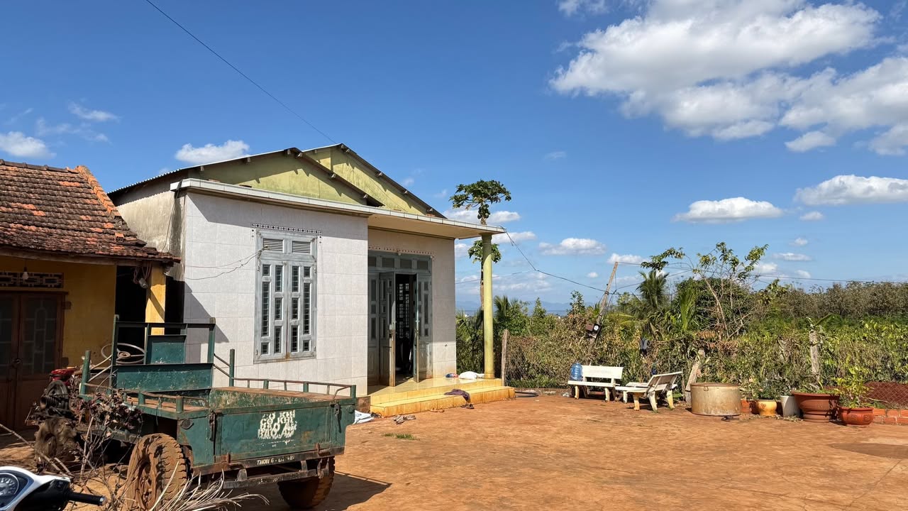 Đất Farm Cà Phê Thôn Tao Klah, Gia Lai 10.000m² - Đầu tư sinh lời ngay!