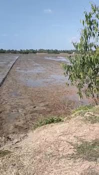 Đất nền ấp Phước Thạnh, Vĩnh Long 1700m² giá 750 triệu - Cơ hội đầu tư tuyệt vời!