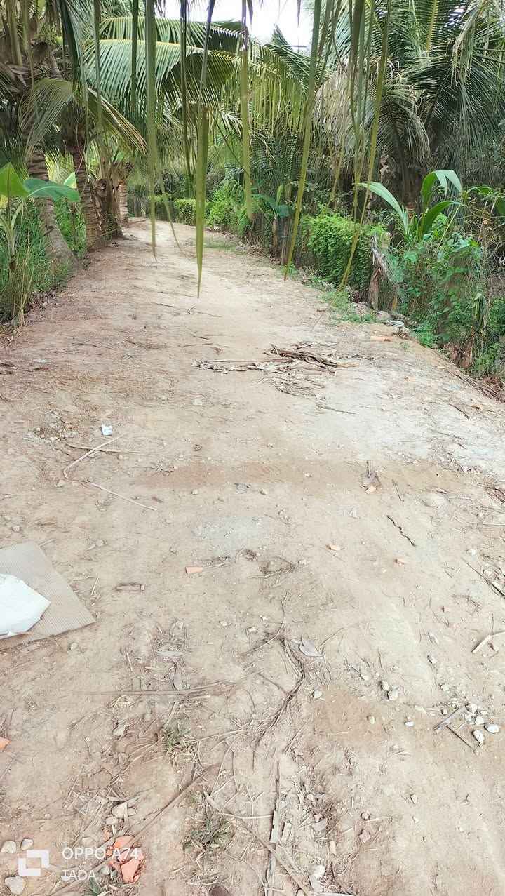 Đất cây lâu năm xã An Phước 1600m² giá 850 triệu - Đầu tư sinh lời ngay!