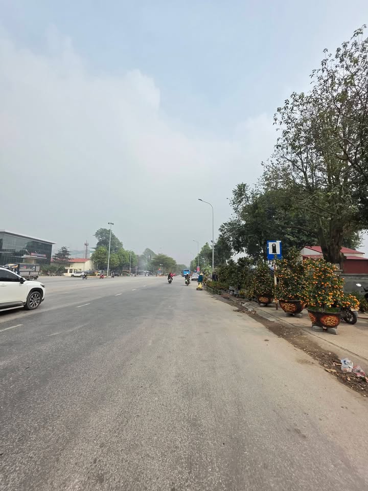 Đất nền mặt tiền Quốc lộ 1A, Phường Võ Cường, 156m² - Cơ hội đầu tư hấp dẫn!