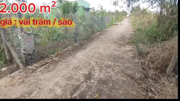 Đất nền Bảo Bình 2000m² giá 1.5 tỷ - Sổ đỏ chính chủ, thương lượng!