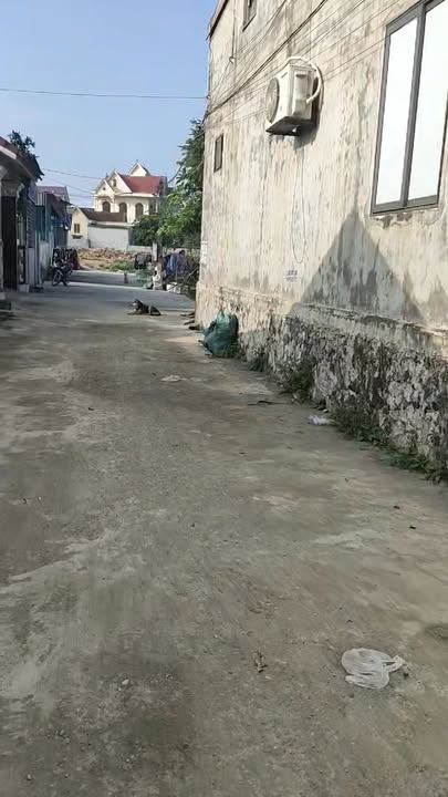 Đất nền Xóm 7, Quốc lộ 7A, 130m² giá 1 tỷ - Vị trí đẹp tiềm năng phát triển!