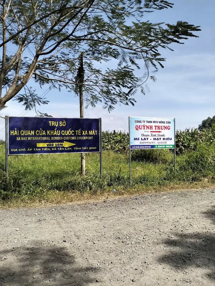 Đất kho xưởng Tân Lập, Tân Biên 19.000m² giá 9.5 tỷ - Đường xe công vào tận nơi!