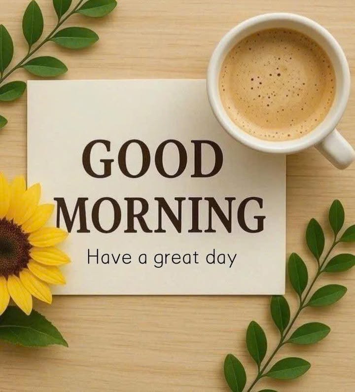 Bán gấp FrontHouse 161m² tại Quảng Lưu, giá chỉ 1 tỷ - Mặt tiền 7m, đường 16m