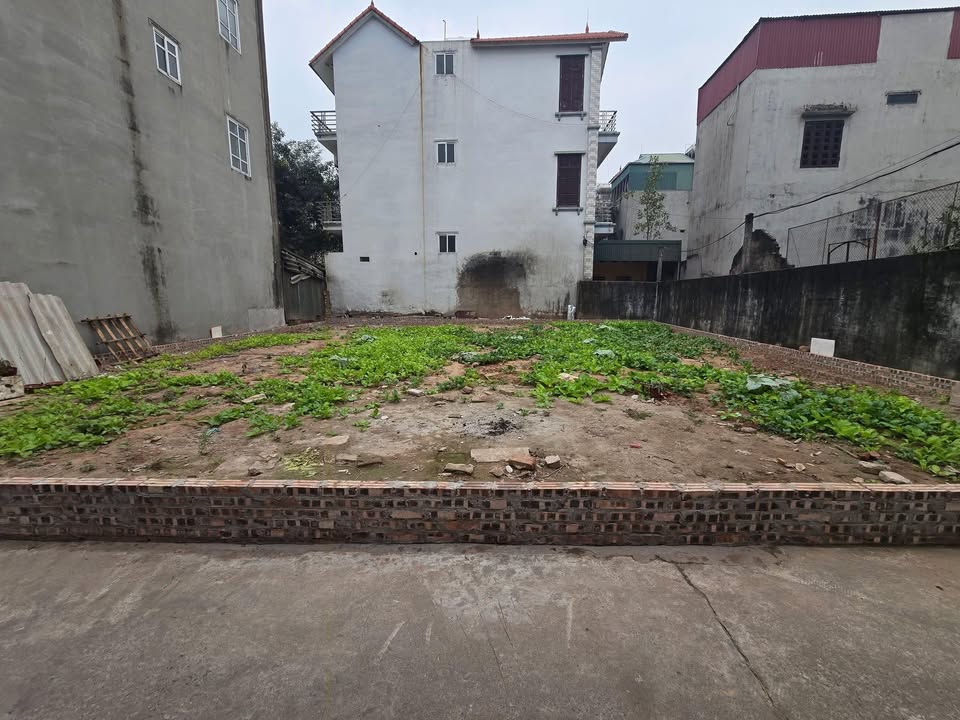 Đất nền Đặng Xá, Gia Lâm 101m² giá 8.08 tỷ - Gần hồ điều hòa, ô tô vào tận nơi!