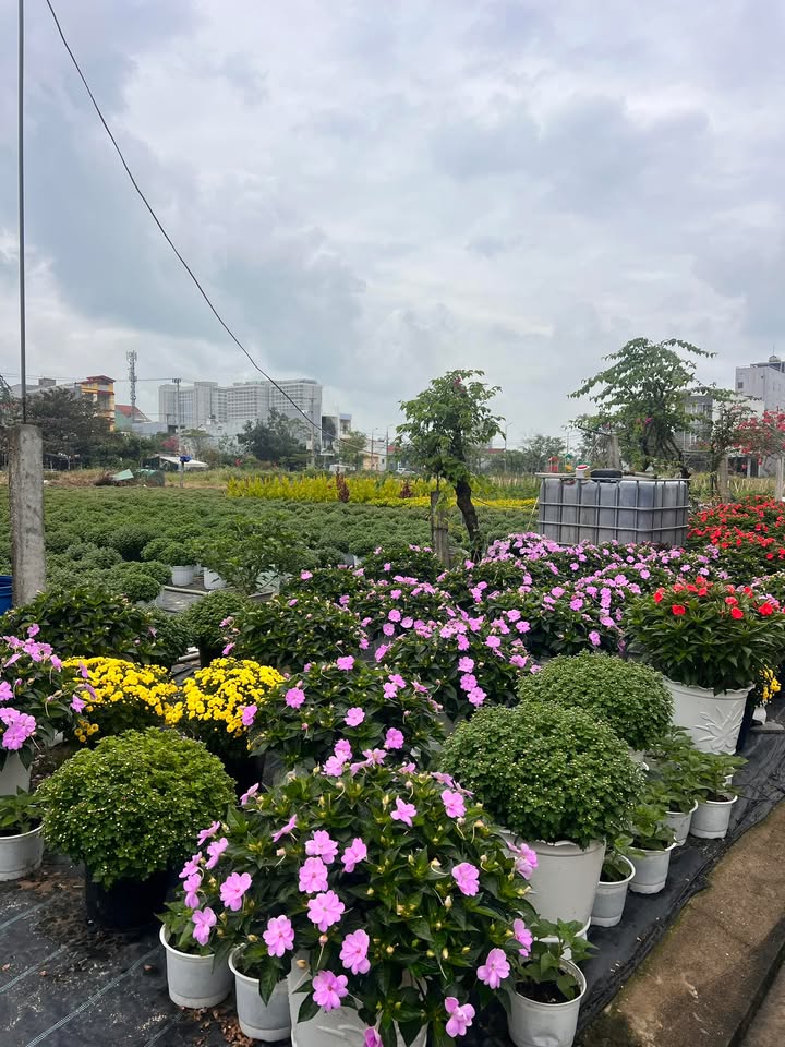 Căn hộ 7 tầng Đường Nguyễn Đình Trân, Quận Ngũ Hành Sơn 90m² giá 7 tỷ - Đầu tư sinh lời!