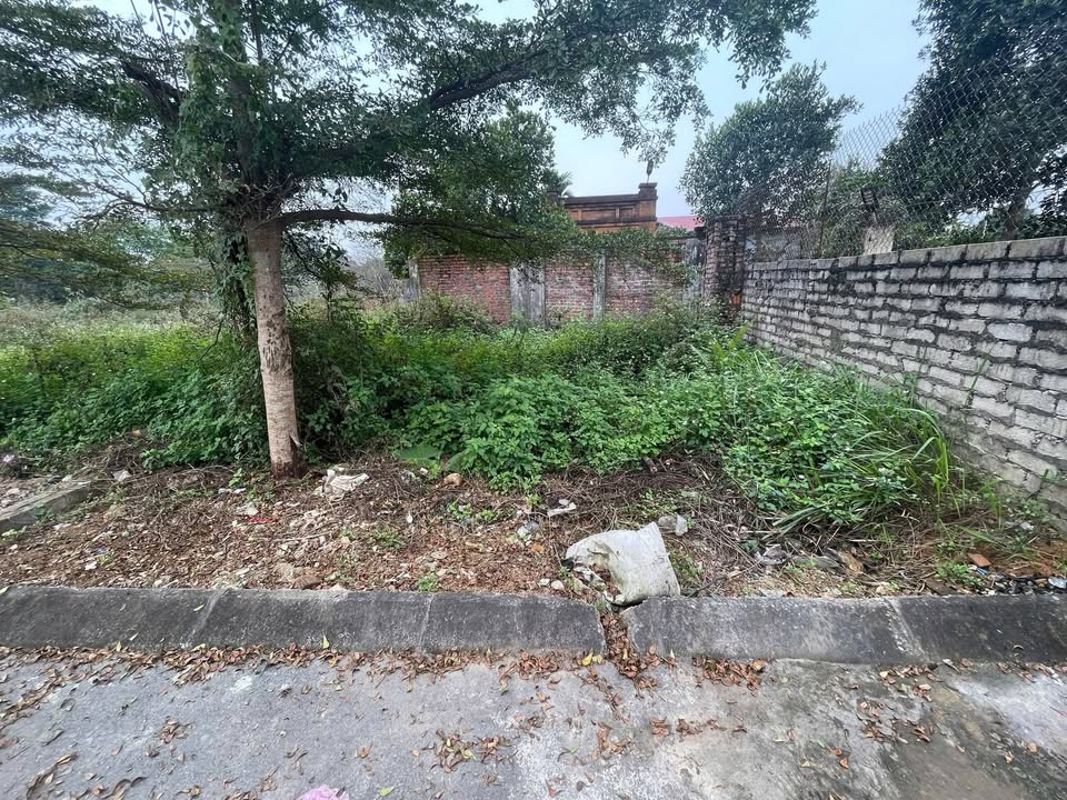 Nhà phố Thạch Thất 62.3m² giá 2.7 tỷ - Gần nhà trọ sinh viên