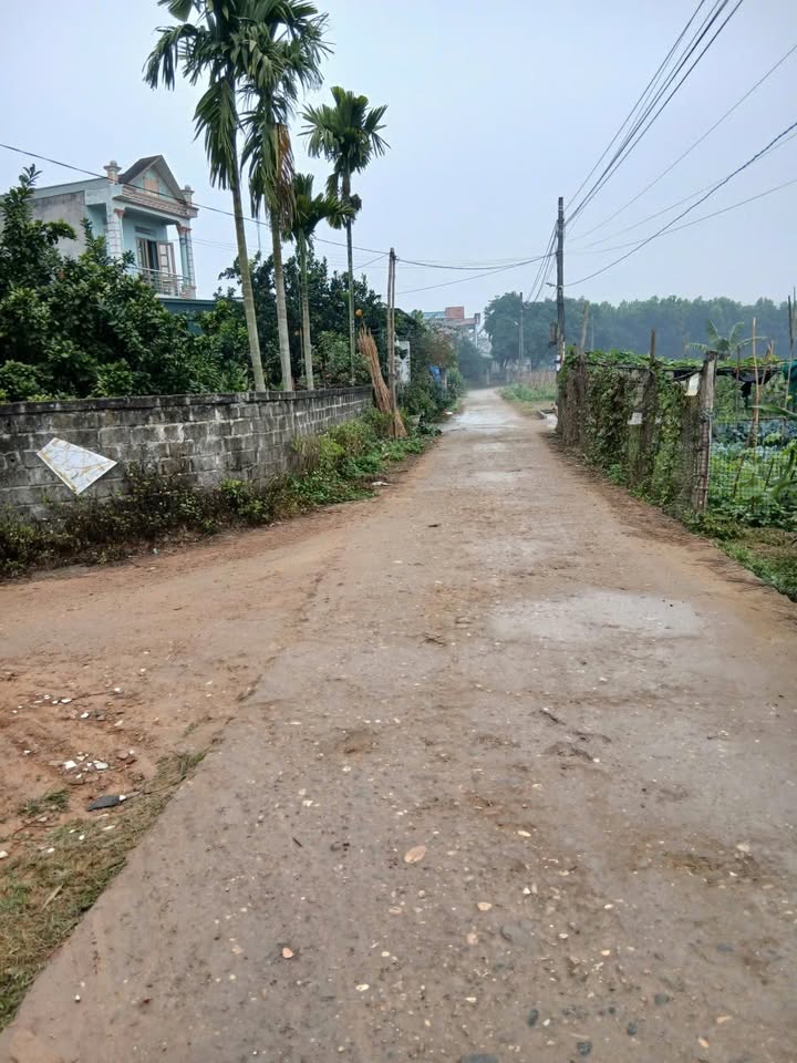 Đất thổ cư khu Thăng Long, An Tường, 280m² giá 2.28 tỷ - Cơ hội đầu tư không thể bỏ lỡ!