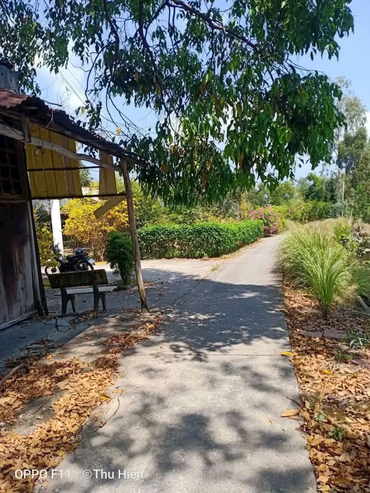 Đất nền khóm 2 Thị trấn U Minh 240m² giá 200 triệu - Sổ hồng chính chủ!