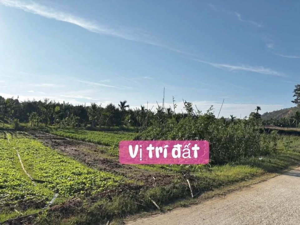 Đất nền Xã Đăk Liêng, Huyện Lăk, Diện tích 120m² - Cơ hội đầu tư hấp dẫn!