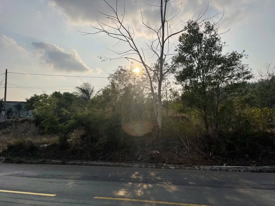 Đất thổ cư mặt tiền Quốc lộ 14, xã Ea Ral 2400m² giá 4.5 tỷ - Cơ hội đầu tư hấp dẫn!